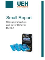 small report consumers markets and buyer behavior durex 
