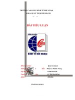 chọn 1 dự án kinh doanh thực tế trong cuộc sống mà anhchị hiểu rõ nhất  vận dụng kiến thức đã học để làm rõ 6 vấn đề về ý tưởng phác thảo và phạm vi dự án 