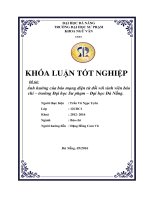 Ảnh hưởng của báo mạng điện tử đối với sinh viên báo chí – trường Đại học Sư phạm – Đại học Đà Nẵng  10600827