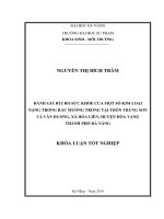 Đánh giá rủi ro sức khỏe của một số kim loại nặng trong rau mống trồng tại thôn Trung Sơn và Vân Dương xã Hòa Liên huyện Hòa Vang thành phố Đà Nẵng.