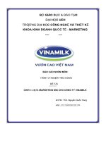 báo cáo nhóm môn hành vi ngƣời tiêu dùng đề tài chiến lƣợc marketing mix cho công ty vinamilk 