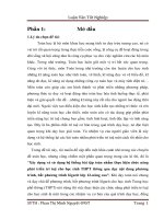 Luận văn tốt nghiệp