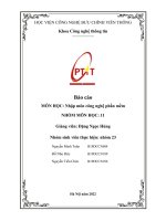 báo cáo môn học nhập môn công nghệ phần mềm chương 15 luồng công việc thực thi 