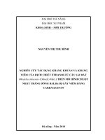 25135 1612202023593632TT6