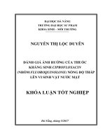 Đánh giá ảnh hưởng của thuốc kháng sinh ciprofloxacin (nhóm fluoroquinolone) nồng độ thấp lên vi sinh vật nước mặt