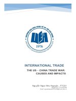 international trade the us china trade war – causes and impacts 