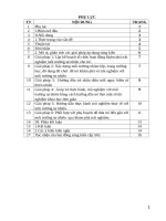 SKKN cho trẻ hoạt động trải nghệm