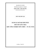 Đánh giá rủi ro sinh thái đối với nước thải khu công nghiệp Liên Chiểu - thành phố Đà Nẵng