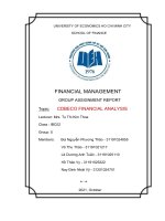 financial management group assignment report topic cdbeco financial analysis 