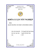 ĐẠI SỐ TRƯỜNG VECTOR VÀ TÍCH PHÂN CHÚNG  10600982