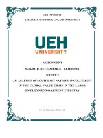 Tiểu luận  an analysis of southeast nations involvement in the global value chain in the laboremployment garment industry 