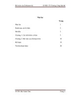 Bài toán của zelmanowitz                       GVHD: TS trương công quỳnh