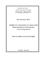 25137 16122020235936921TT12