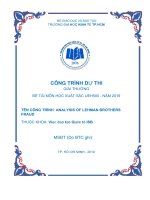 Tiểu luận analysis of lehman brothers 