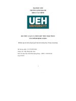 TIỂU LUẬN bài tiểu luận cá nhân kết thúc học phần tài chính định lượng đề bài lập mô hình để giải quyết một tình huống thực tế (hoặc mô phỏng)