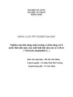 25033 1612202023584680bahng