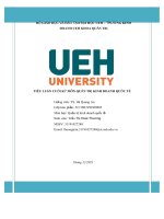 Tiểu luận anti   dumping case of vietnam catfish in us market 