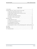 25748 171220200417378LVTNdasua 5