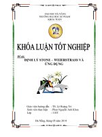 Định lý Stone – Weierstrass và ứng dụng