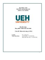 TIỂU LUẬN bài tiểu luận học phần phân tích tài chính chủ đề phân tích công ty dxg