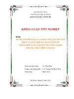 Đường lối ngoại giao của Đảng Cộng sản Việt Nam trong cương lĩnh xây dựng đất nước trong thời kỳ quá độ lên chủ nghĩa xã hội (Bổ sung phát triển năm 2011).