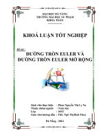 Đường tròn Euler và đường tròn Euler mở rộng.