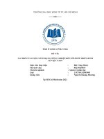 đề tài vai trò của cuộc cách mạng công nghiệp đối với phát triển kinh tế việt nam 