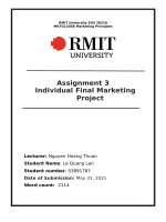 Assignment 3 Individual Final Marketing Project