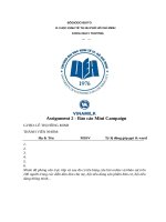 Tiểu luận assignment 2   báo cáo mini campaign 