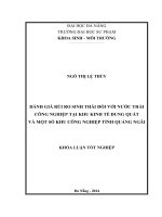 Đánh giá rủi ro sinh thái đối với nước thải công nghiệp tại khu kinh tế Dung Quất và một số khu công nghiệp tỉnh Quảng Ngãi.