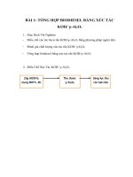 Báo cáo Thực hành chuyên ngành bài 1,4