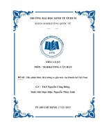 tiểu luận môn  marketing căn bản đề tài  hãy phân khúc thị trường xe gắn máy của honda tại việt nam 