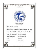 TIỂU LUẬN đề tài tìm hiểu về bệnh trầm cảm của trẻ vị thành niên ở việt nam dưới góc nhìn xã hội học 