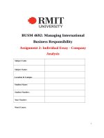 Assignment 2 individual essay   company analysis ikea establishes an organization named ingka foundation with the charitable purposes 