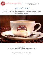 Chiến lược marketing quốc tế của trung nguyên legend tại thị trường hoa kỳ 