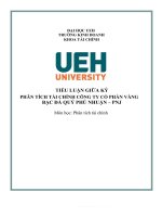 tiểu luận giữa kỳ phân tích tài chính công ty cổ phần vàng bạc đá quý phú nhuận – pnj 
