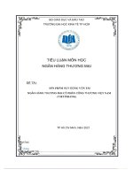 tiểu luận môn học ngân hàng thương mại đề tài sản ph ng v ẩm huy độ ốn t ại ngân hàng thương mạ công thương việ i cổ phần t nam (vietinbank) 