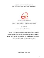 XÂY DỰNG KẾ HOẠCH MARKETING CHO SẢN PHẨM MÌ OMACHI DẠNG LY CỦA CÔNG TY CỔ PHẦN HÀNG TIÊU DÙNG MASAN TẠI HÀ NỘI TRONG NĂM 2022