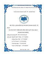 tiểu luận môn dự án kinh doanh quốc tế đề tài dự án phát triển mô hình sản xuất rau sạch trong nhà màng 