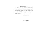 (Luận án tiến sĩ) Định hướng giá trị đạo đức nghề nghiệp của sinh viên các học viện, trường Đại học Công an nhân dân