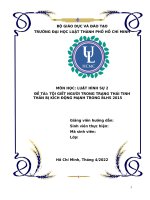 Bình luận về tội giết người trong trạng thái tinh thần bị kích động mạnh trong bộ luật hình sự hiện hành