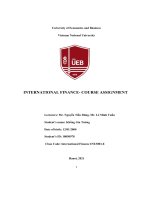 INTERNATIONAL FINANCE  COURSE ASSIGNMENT the following table shows vietnam’s balance of payments in 2009, when the economy was seriously affected by the global economic recession 