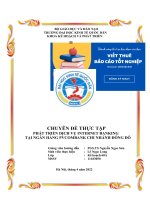 PHÁT TRIỂN DỊCH VỤ INTERNET BANKING  TẠI NGÂN HÀNG PVCOMBANK CHI NHÁNH ĐÔNG ĐÔ GIAI ĐOẠN 2019  2021