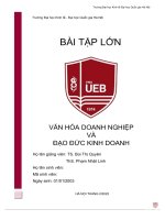 BÀI tập lớn văn hóa DOANH NGHIỆP và đạo đức KINH DOANH 