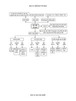 Sơ đồ tư duy sinh học 10 bài 12 13 15 22 25 27 29 30  và lí thuyết bài 25,26