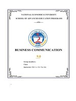 BUSINESS COMMUNICATION  TOYOTA VIETNAM and case study of communication problems 