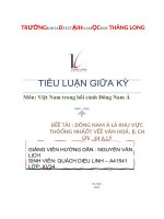 TIỂU LUẬN GIỮA kỳ môn việt nam trong bối cảnh đông nam á ĐÔNG NAM á là KHU v c THÔỐNG ự NHẤỐT vềề văn HOÁ, l CH s , đ a lý 
