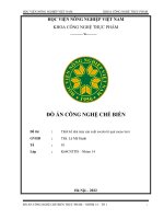 ĐỒ án CÔNG NGHỆ CHẾ BIẾN đề tài  thiết kế nhà máy sản xuất socola từ quả cacao tươi 