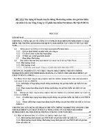 Xây dựng kế hoạch truyền thông marketing online cho gói bảo hiểm vật chất ô tô của tổng công ty cổ phần bảo hiểm petrolimex hà nội (PJICO)