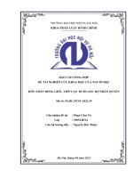 Hôn nhân đồng giới  tiếp cận dưới góc độ nhân quyền 